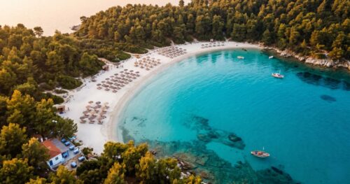 Aerial view of turquoise Halkidiki beach cove with pine trees meeting the Aegean Sea — MTG Travel transfers